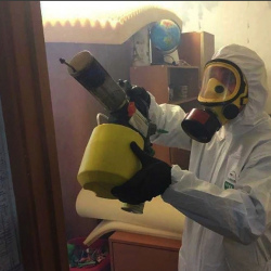 Уничтожение клопов в квартире. Автово